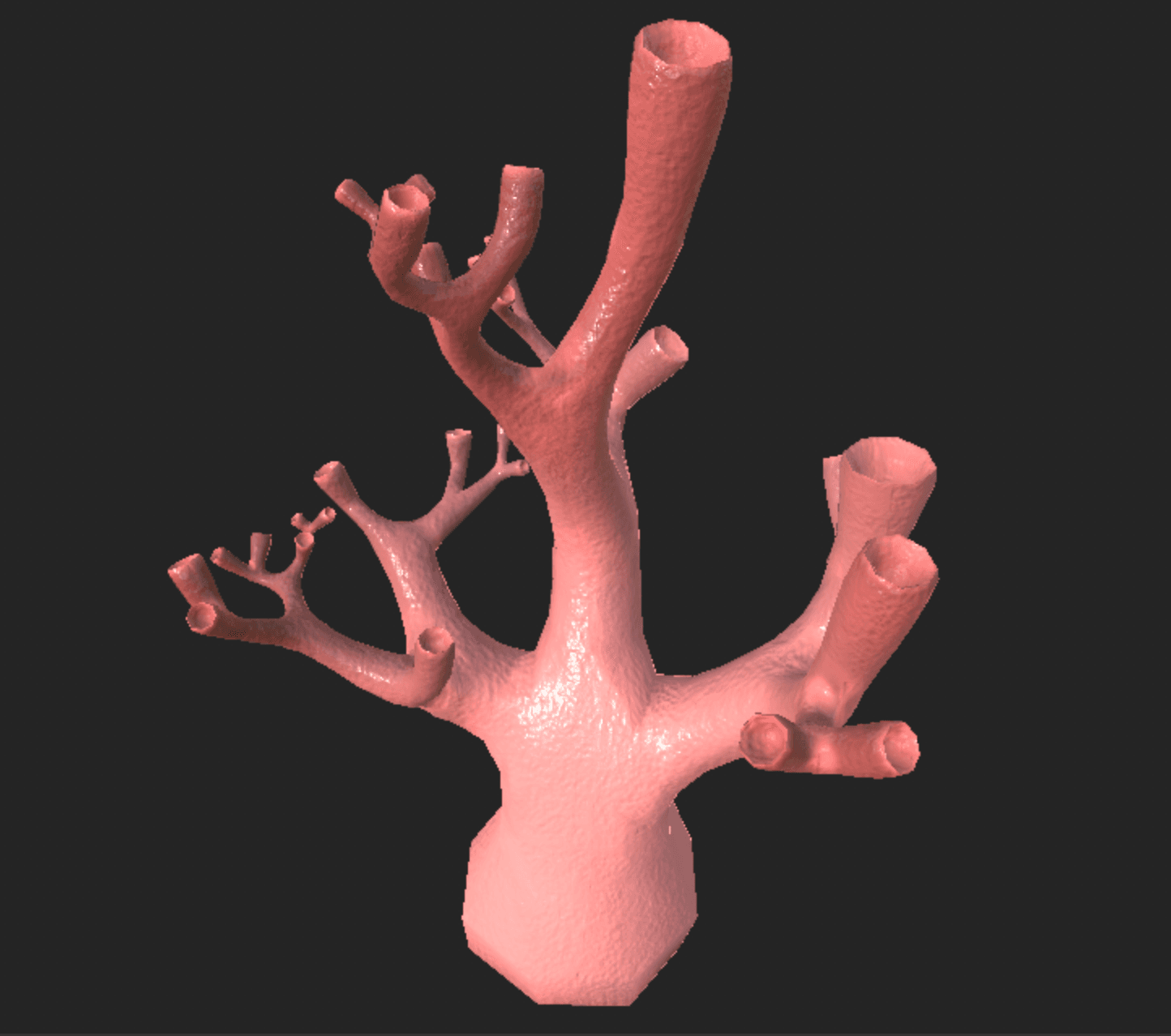 A pink textured branching coral model.